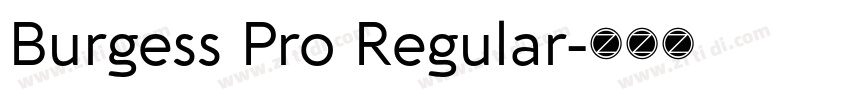 Burgess Pro Regular字体转换